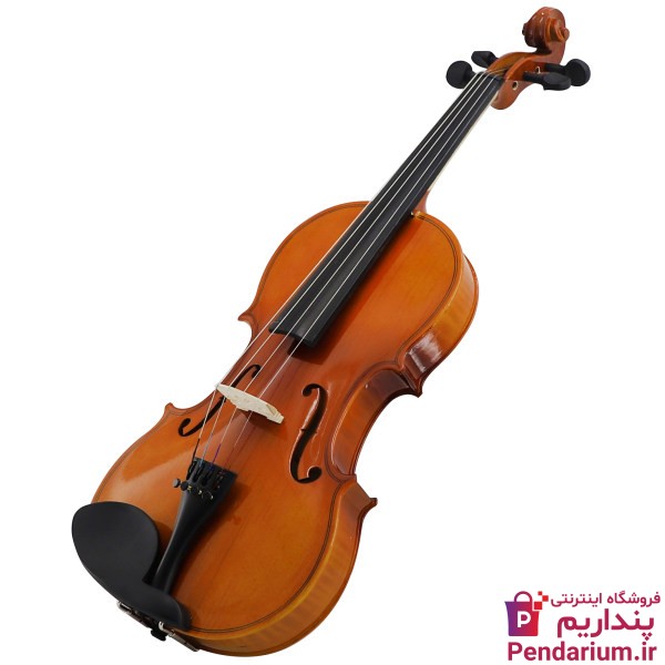 راهنمای خرید ویولن حرفه ای – قیمت ویولن ارزان
